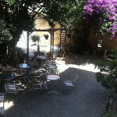 Brit Colbert أنتيب